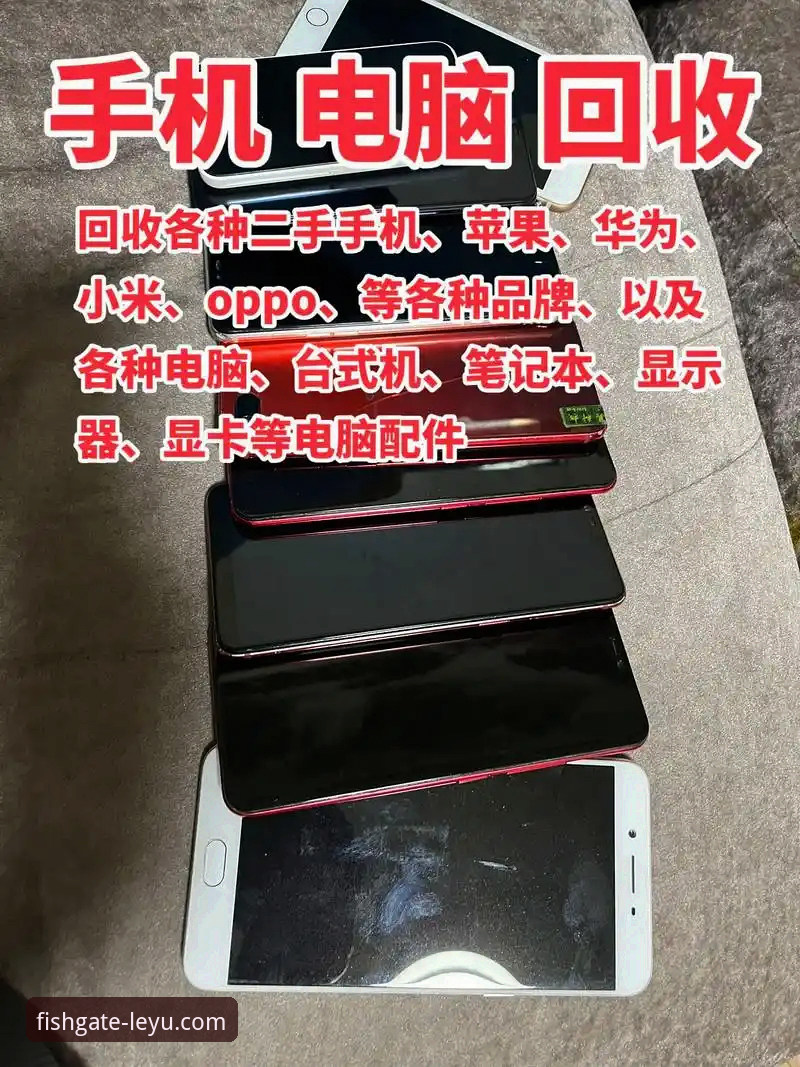 乐鱼官网客户端下载安装完整指南：2025新版手机与电脑端部署